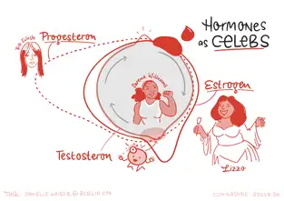 Eine Sketchnote aus Berlin, die Hormone mit prominenten Pers&ouml;nlichkeiten vergleicht. Progesteron wird mit Billie Eilish, Testosteron mit einem kleinen, energetischen Symbol, Estrogen mit Lizzo und die allgemeine Zyklusenergie mit Serena Williams verkn&uuml;pft, um deren jeweilige Wirkung humorvoll darzustellen.