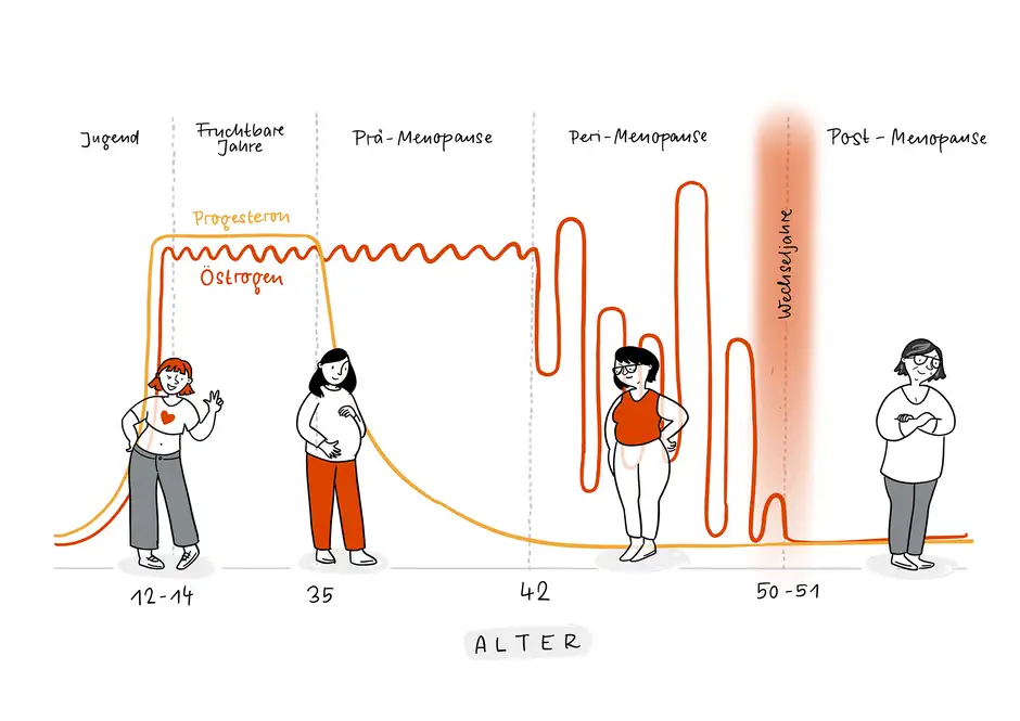 Das Bild zeigt eine Infografik &uuml;ber die Phasen der Wechseljahre und die Hormonver&auml;nderungen im weiblichen K&ouml;rper im Verlauf des Lebens. Die Grafik ist in f&uuml;nf Abschnitte unterteilt: Jugend, Fruchtbare Jahre, Pr&auml;-Menopause, Peri-Menopause und Post-Menopause. Jede Phase wird durch eine Zeichnung einer Frau repr&auml;sentiert und die entsprechenden Altersbereiche sind angegeben.  Jugend (12-14 Jahre): Ein junges M&auml;dchen, das l&auml;chelt und winkt. Die Hormone &Ouml;strogen und Progesteron beginnen zu steigen. Fruchtbare Jahre (ca. 35 Jahre): Eine schwangere Frau. Die Hormone &Ouml;strogen und Progesteron sind auf einem stabilen Niveau. Pr&auml;-Menopause (ca. 42 Jahre): Eine Frau mit besorgtem Gesichtsausdruck. Die Hormone beginnen zu schwanken und leicht abzufallen. Peri-Menopause (ca. 50-51 Jahre): Eine Frau, die sich die H&uuml;ften h&auml;lt. Die Hormonspiegel, insbesondere &Ouml;strogen, schwanken stark. Post-Menopause: Eine &auml;ltere Frau mit grauen Haaren und Brille. Die Hormonspiegel sind niedrig und stabil. Die Grafik zeigt die Ver&auml;nderungen der Hormonspiegel (&Ouml;strogen in rot und Progesteron in gelb) &uuml;ber das Alter hinweg. Der Bereich der Wechseljahre ist hervorgehoben.