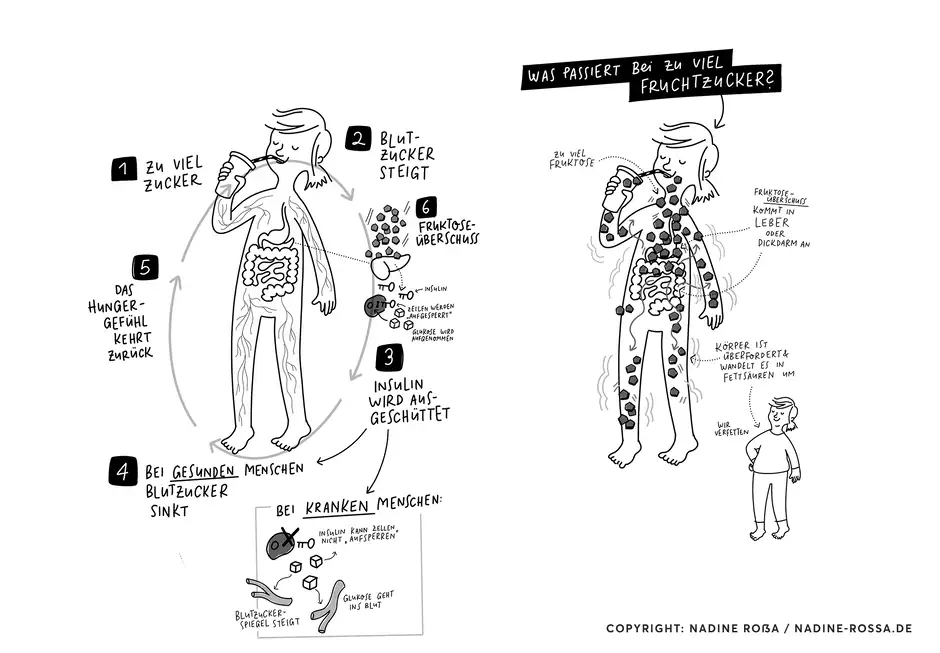 Zuckerfrei von Anfang an Illustrationen