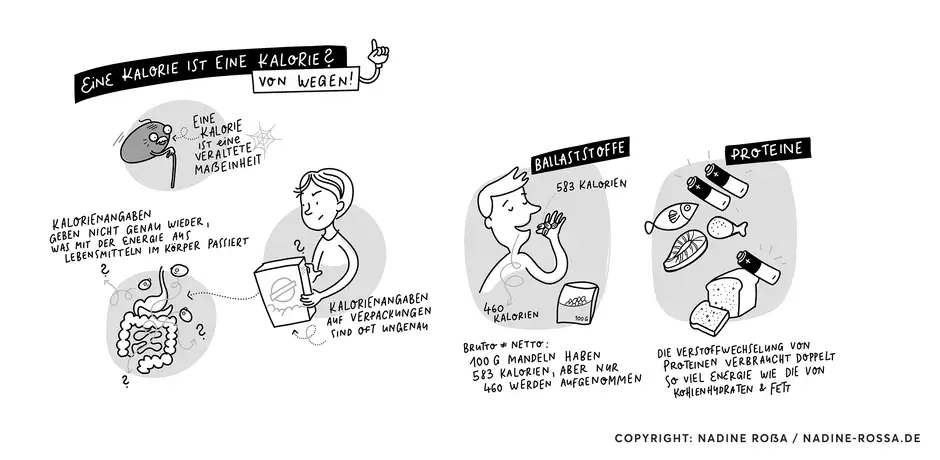 Zuckerfrei von Anfang an Illustrationen