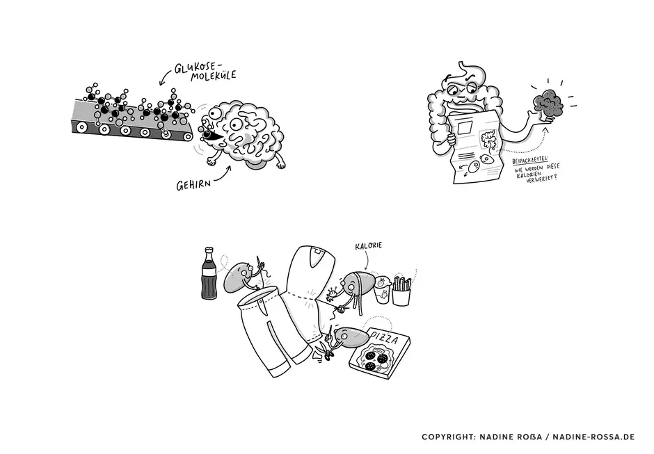 Zuckerfrei von Anfang an Illustrationen